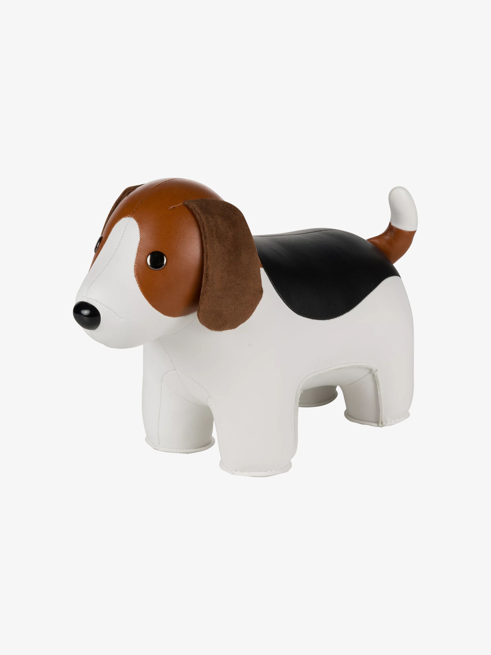 BEAGLE Hund